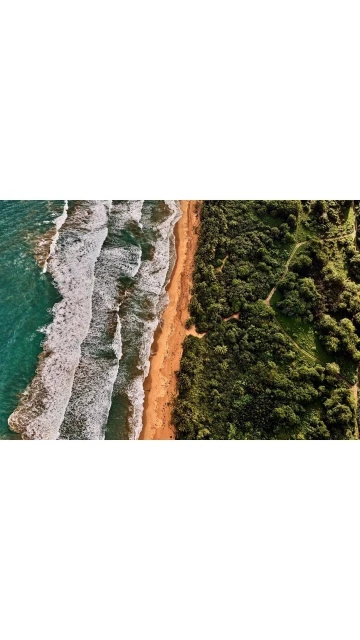 Laird and Good Company