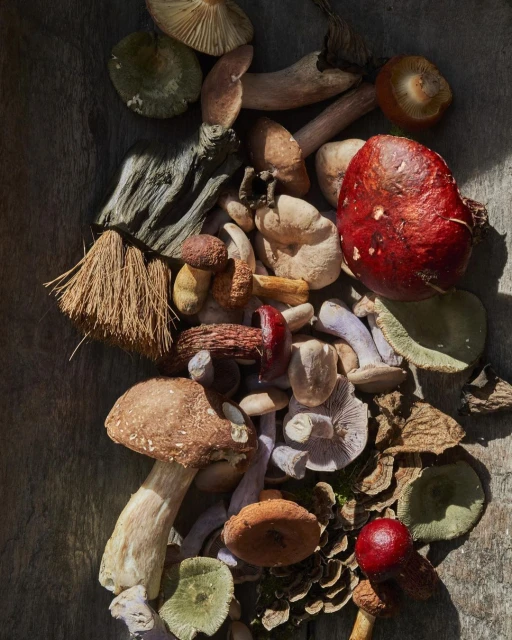 Laird and Good Company