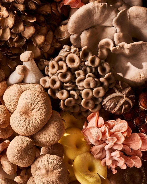 Laird and Good Company