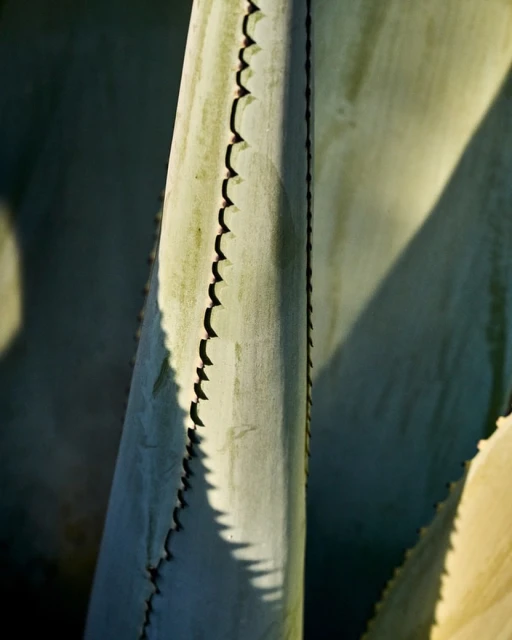 Laird and Good Company