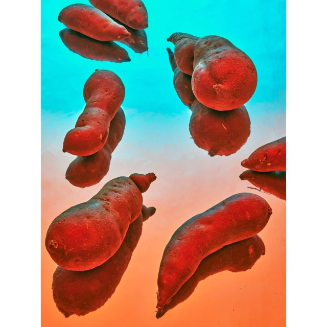 Laird and Good Company