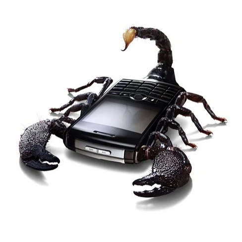 Janice Moses Represents