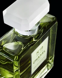 Helmut Stelzenberger