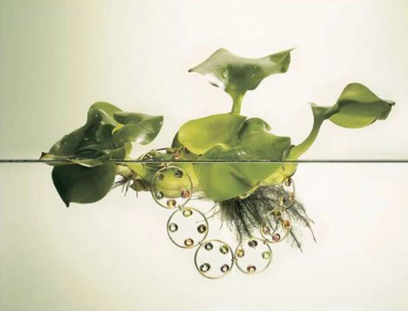 Helmut Stelzenberger