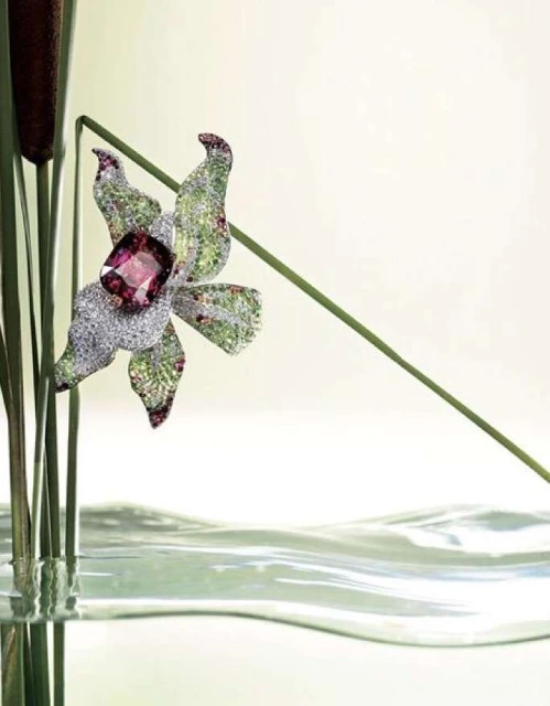 Helmut Stelzenberger