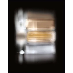 Helmut Stelzenberger