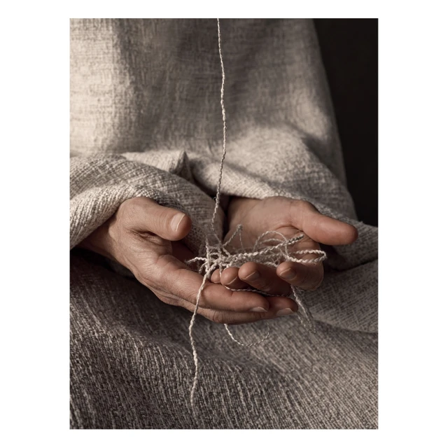 One Represents | Interiors & Still Life