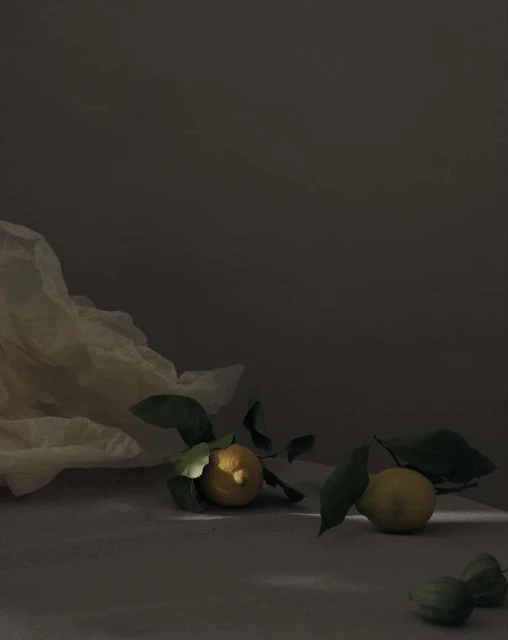 One Represents | Interiors & Still Life