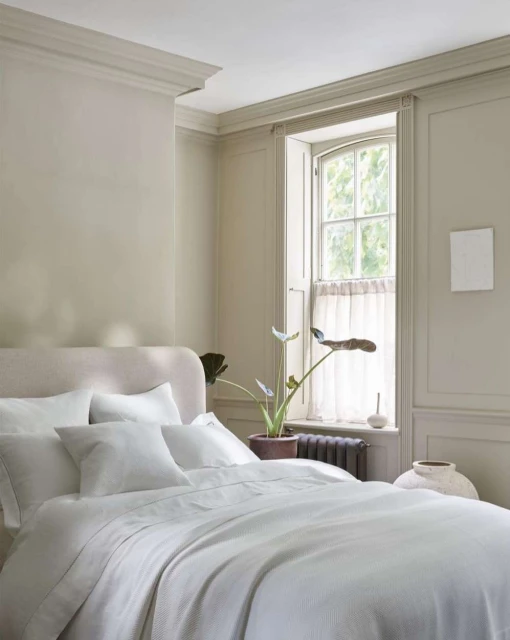 One Represents | Interiors & Still Life