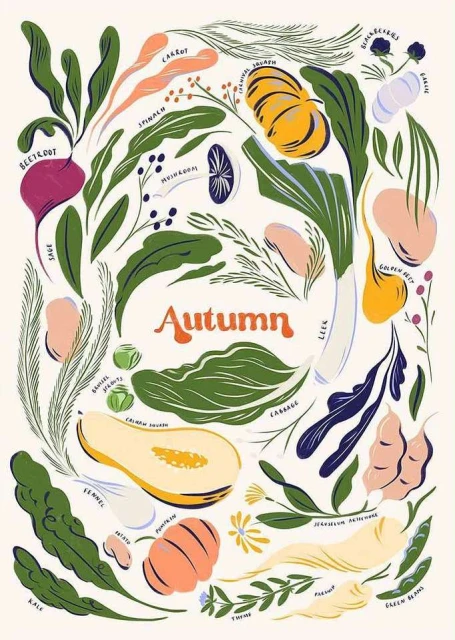 Making Pictures Illustration