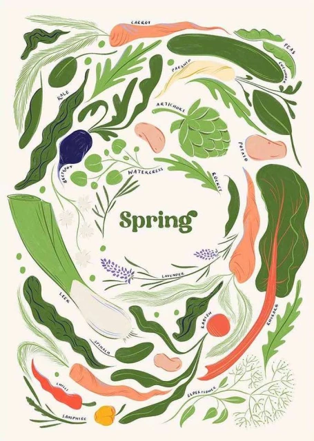 Making Pictures Illustration