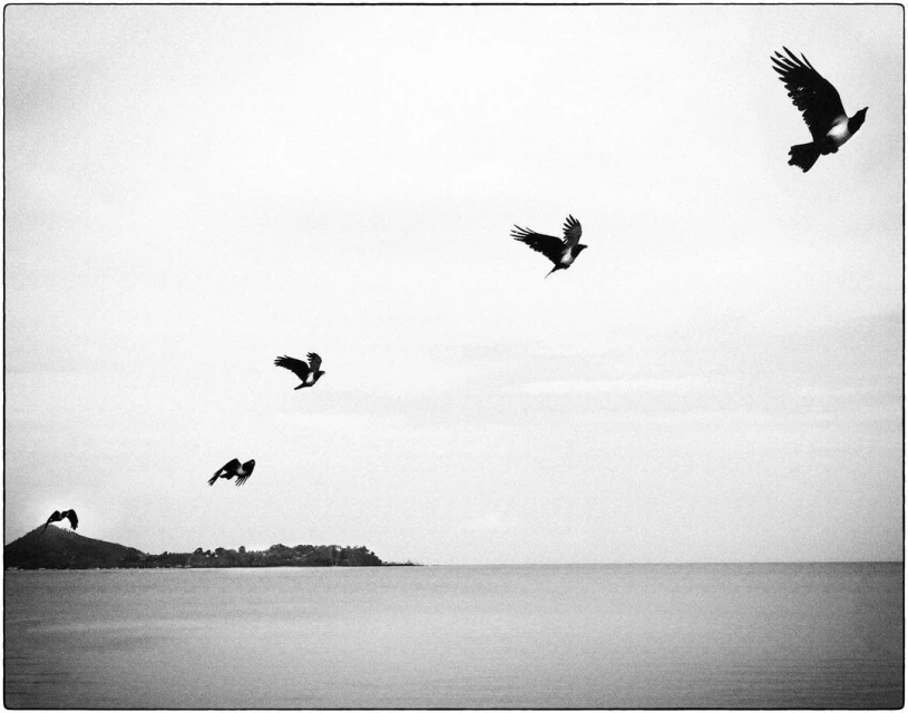 Jean-françois Spricigo