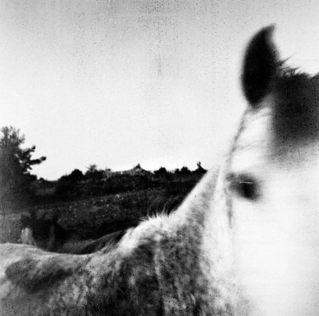 Jean-françois Spricigo