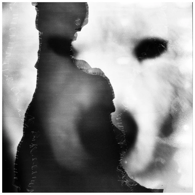 Jean-françois Spricigo