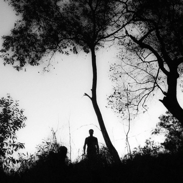 Jean-françois Spricigo