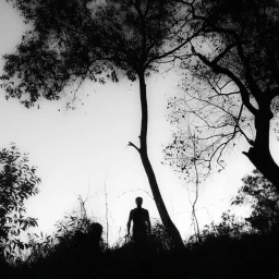 Jean-françois Spricigo