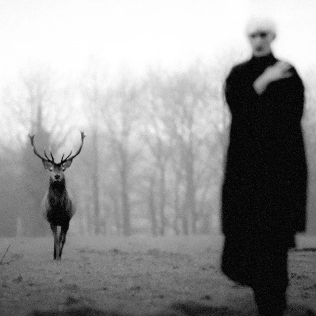 Jean-françois Spricigo