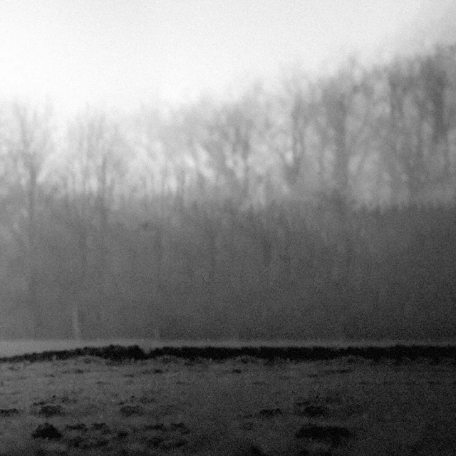 Jean-françois Spricigo