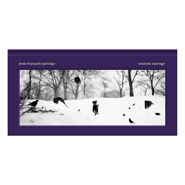 Jean-françois Spricigo