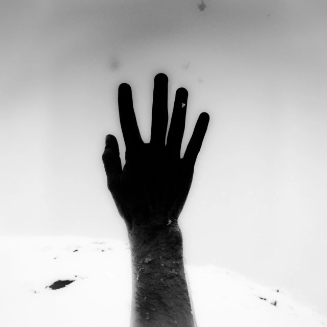 Jean-françois Spricigo