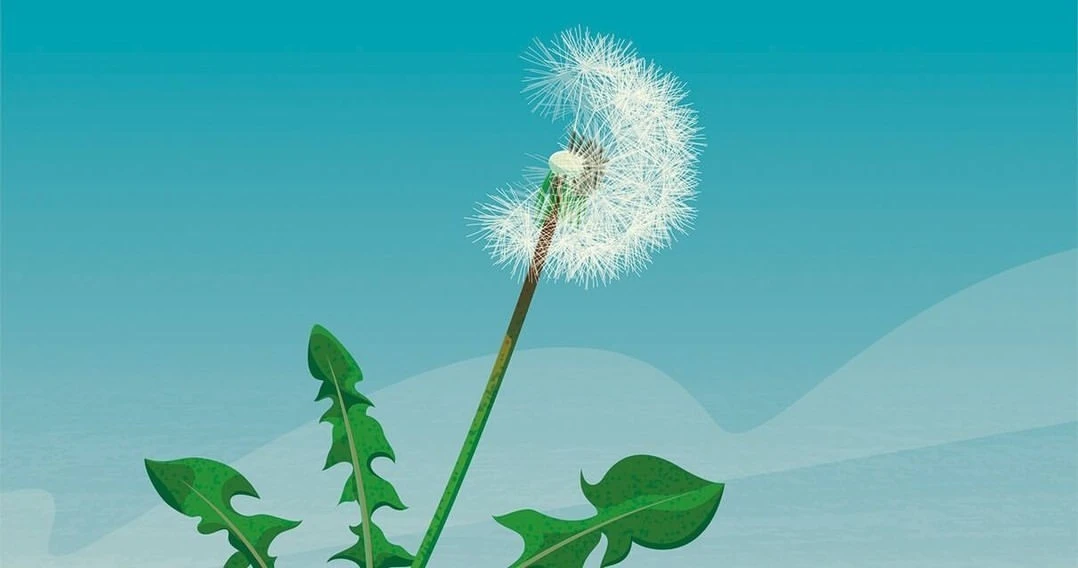 Inkling Illustration