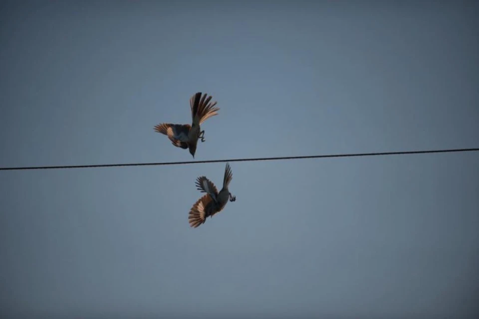 Creative Exchange Agency