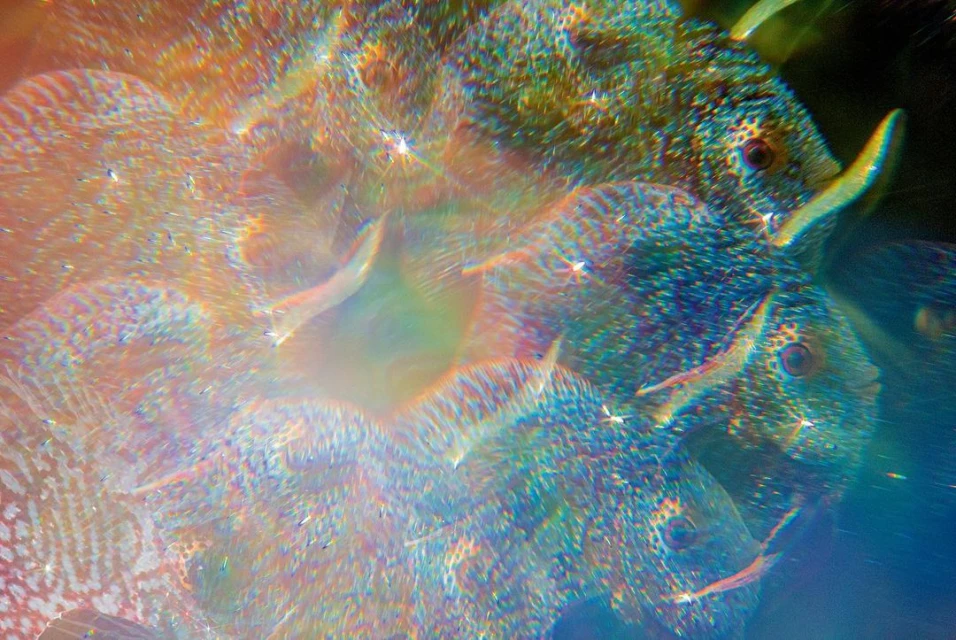 Creative Exchange Agency