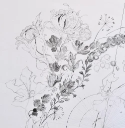 Jessica May Underwood