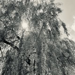 Jessica May Underwood