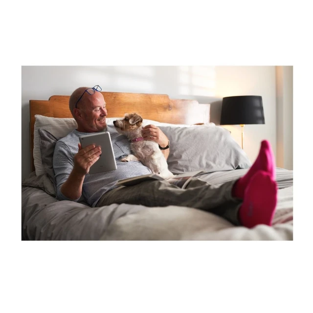 Lucid Representation