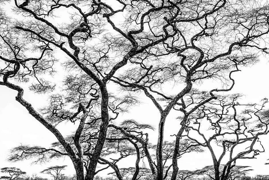 Laird and Good Company