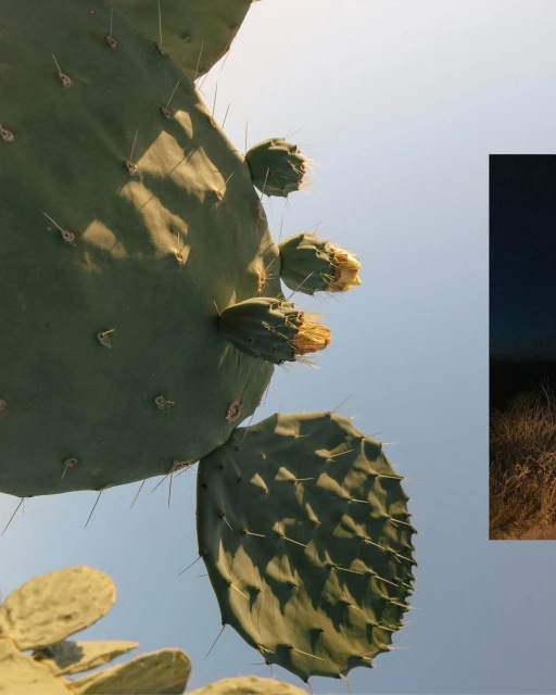 Kersten Vasey Bowers