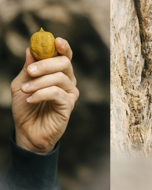 Kersten Vasey Bowers