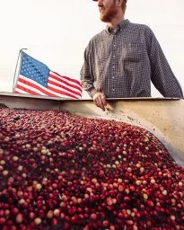 Kersten Vasey Bowers