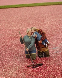 Kersten Vasey Bowers