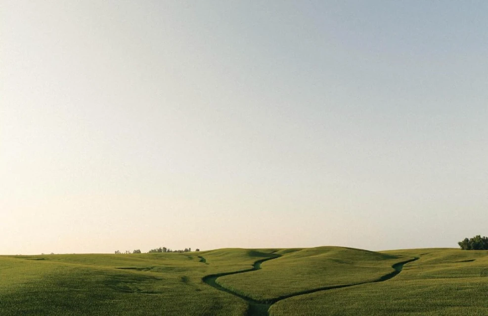 Kersten Vasey Bowers