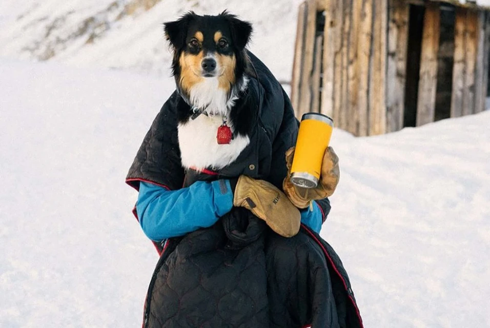 Kersten Vasey Bowers