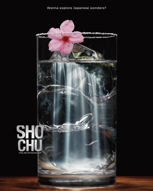 Julian Meijer Agency