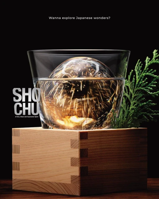 Julian Meijer Agency