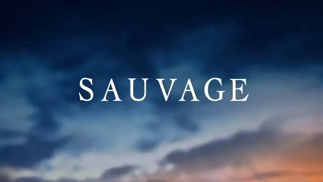 Julian Meijer Agency