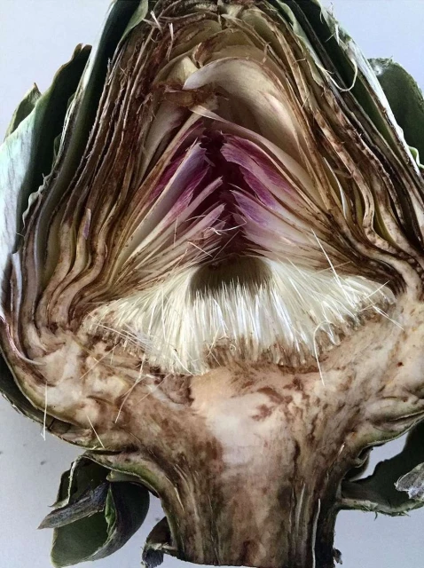 Creative Exchange Agency