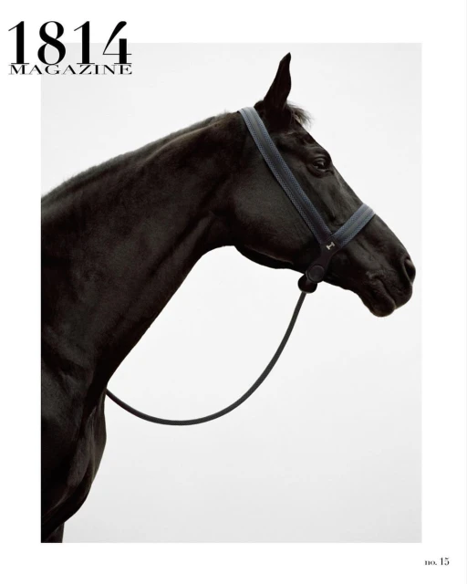 Creative Exchange Agency