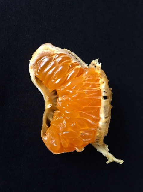 Creative Exchange Agency