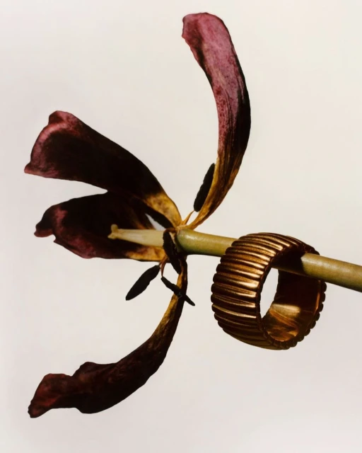 Laird and Good Company