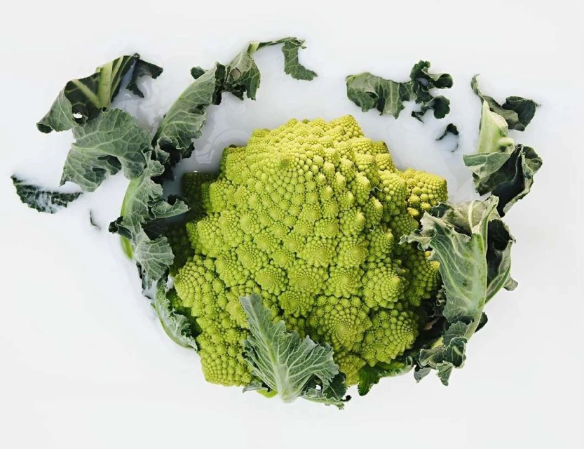 Valerie Paumelle Agent