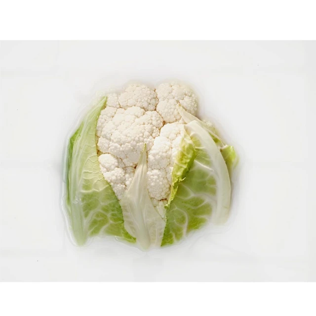 Valerie Paumelle Agent