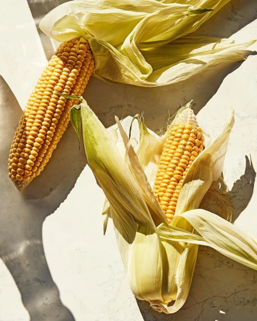 Pat Bates & Associates