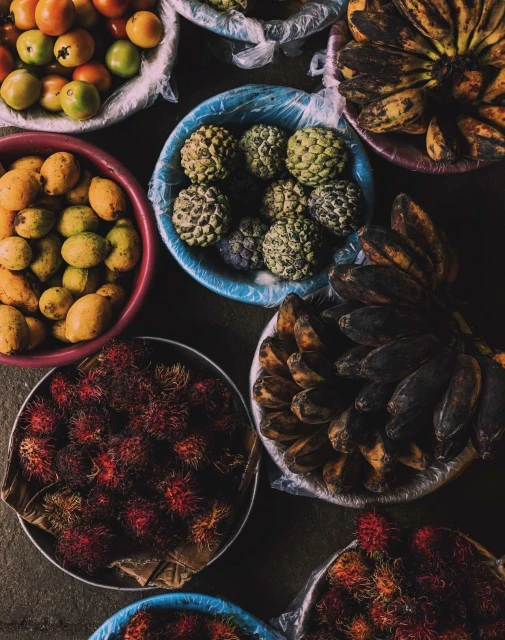 Pat Bates & Associates