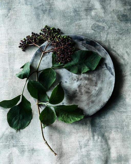 Pat Bates & Associates