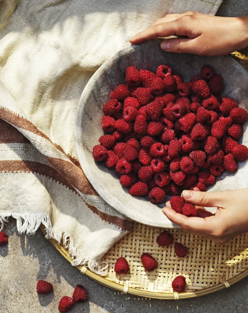 Pat Bates & Associates